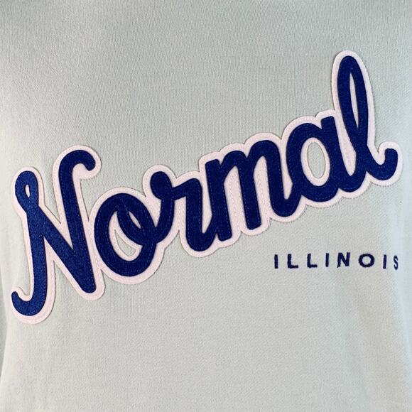 RIVIAN Size L Normal Light Blue Logo Cotton Hooded Sweatshirt - Picture 2 of 5